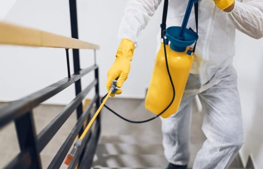 affordable pest control services