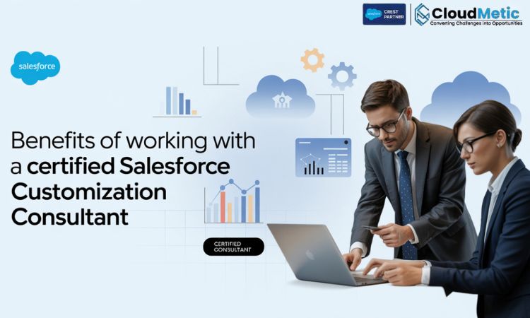 salesforce customization consultant