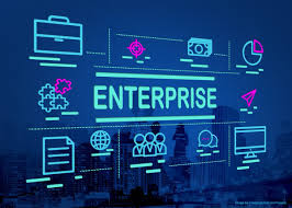 Enterprise software development
