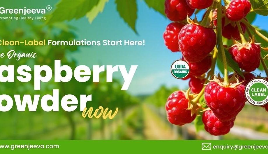 Bright red raspberries hanging on green branches, promoting Greenjeeva's organic raspberry powder with clean-label assurance.
